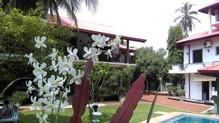 Canal Villa Бентота Экстерьер фото